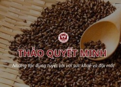 Thảo Quyết Minh có tác dụng gì? Tác dụng tuyệt vời với đôi mắt